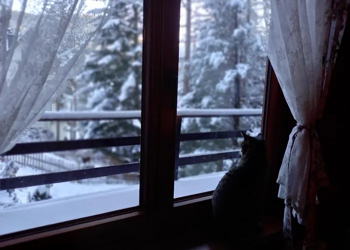 Hostel Good Bye Lenin *