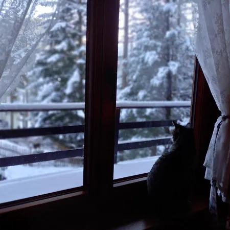 Хостел Good Bye Lenin *