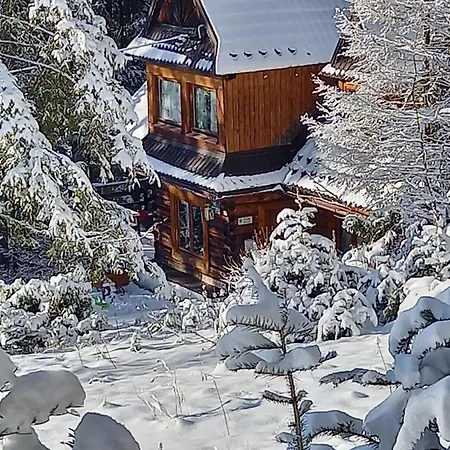 旅馆 宗卡帕内再见列宁酒店